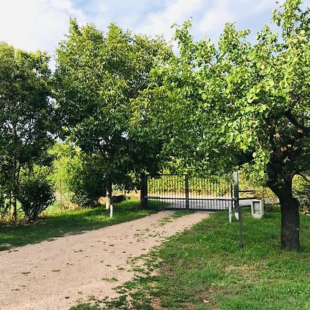 Una Casa Di Campagna 多索博诺 外观 照片
