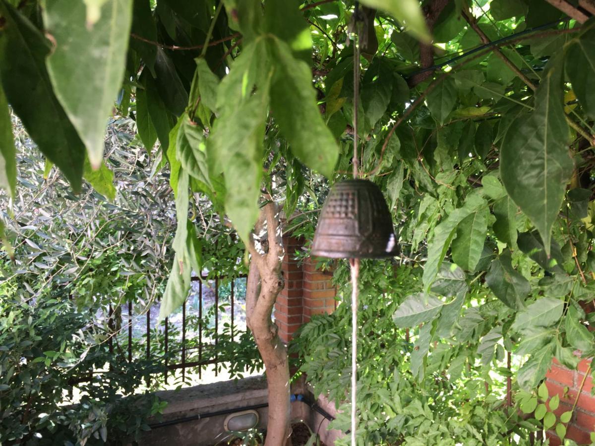 Una Casa Di Campagna 多索博诺 外观 照片