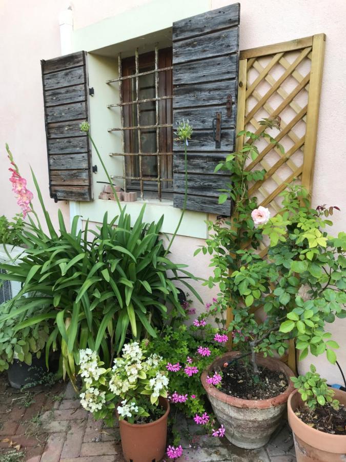 Una Casa Di Campagna 多索博诺 外观 照片
