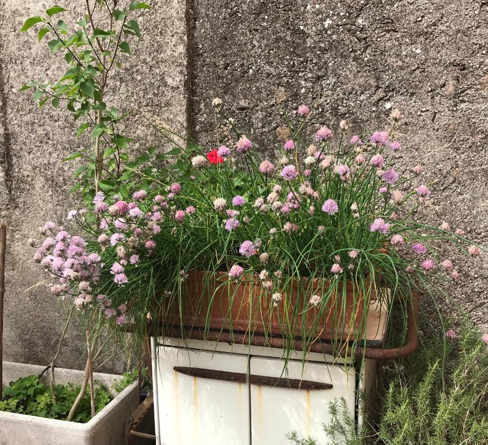 Una Casa Di Campagna 多索博诺 外观 照片