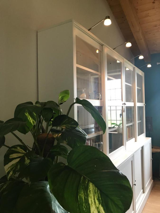 Una Casa Di Campagna 多索博诺 外观 照片