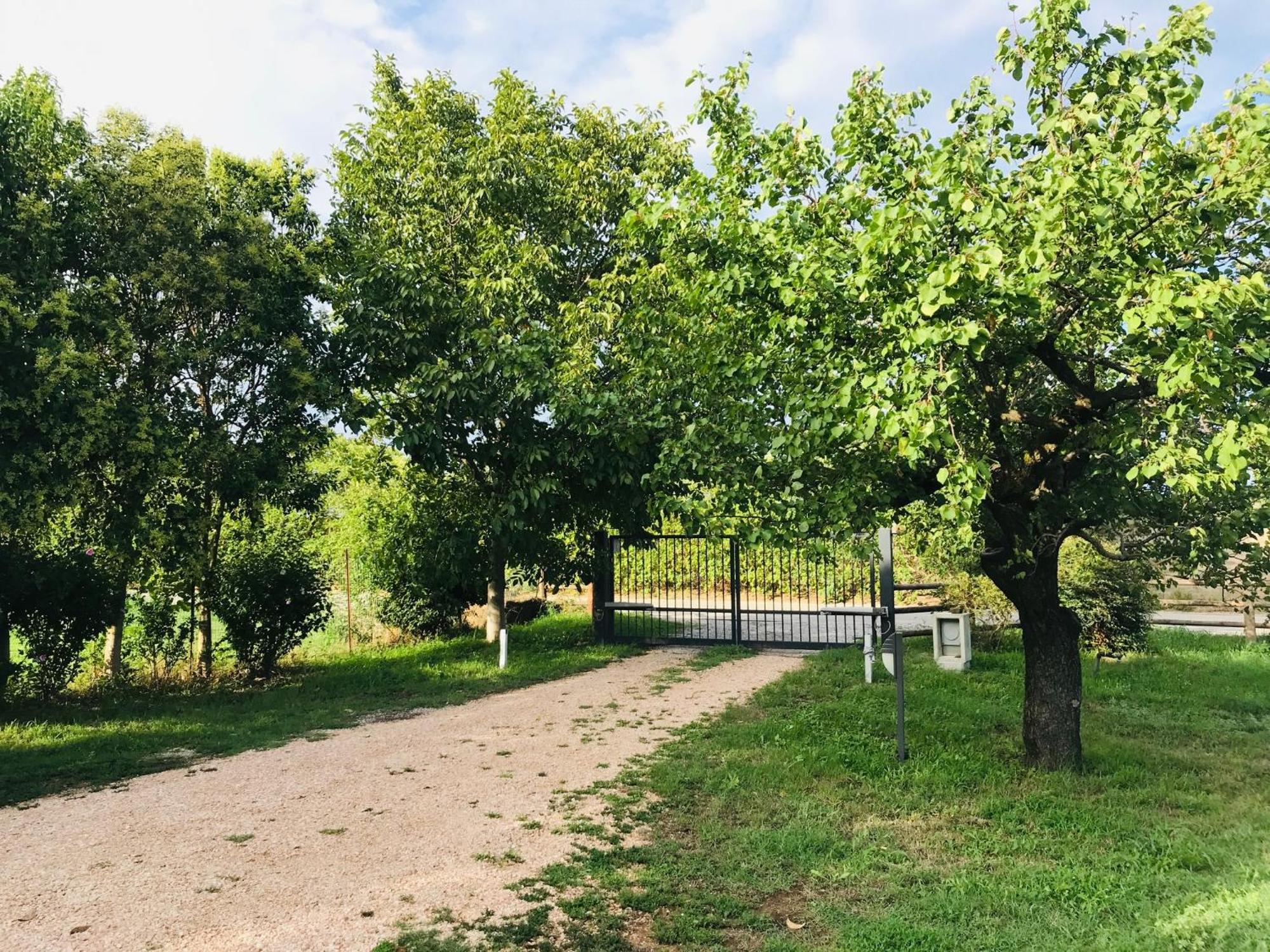 Una Casa Di Campagna 多索博诺 外观 照片