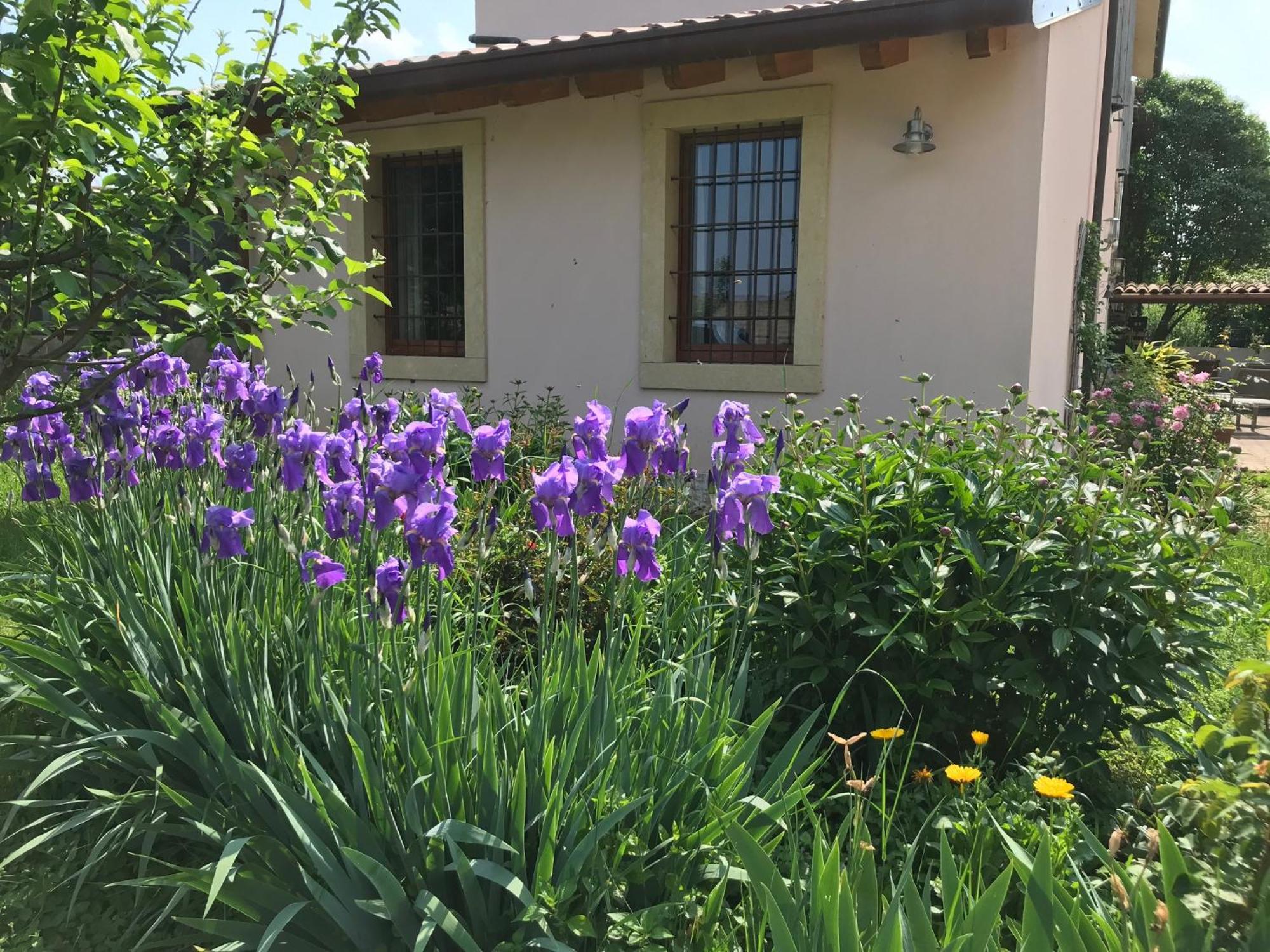 Una Casa Di Campagna 多索博诺 外观 照片